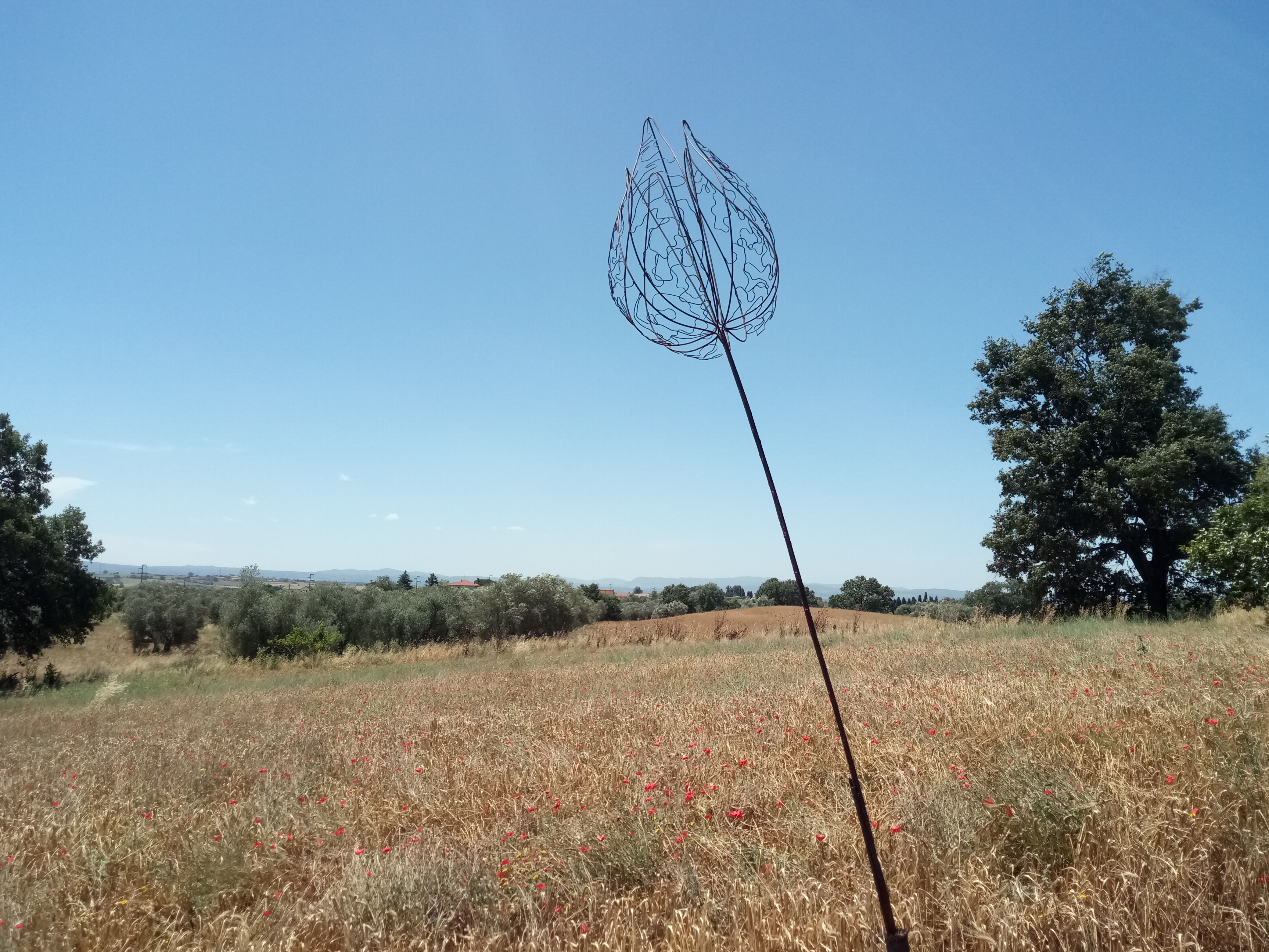 La Promessa
